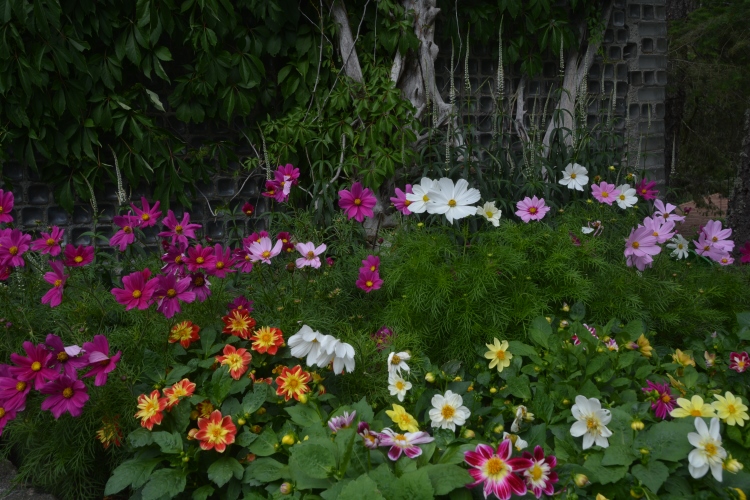 The Glass House flowers